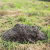 Herndon Mole Control by On The Go Services, LLC
